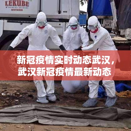 关于我们 第229页