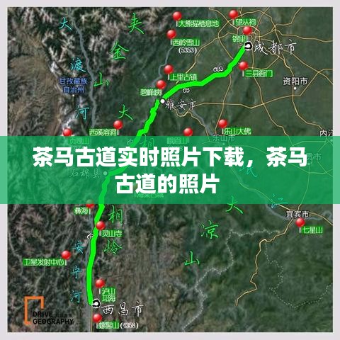 购物指南 第217页