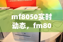 贵阴贱璧 第3页