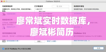 廖常斌实时数据库，廖斌彬简历 