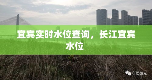 宜宾实时水位查询，长江宜宾水位 