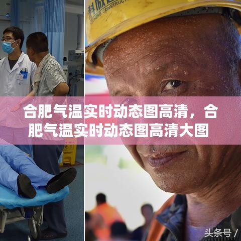 小心翼翼 第2页