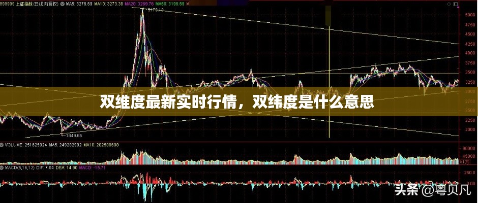 文化专栏 第185页