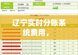 辽宁实时分账系统费用， 