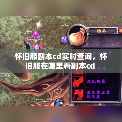 怀旧服副本cd实时查询，怀旧服在哪里看副本cd 