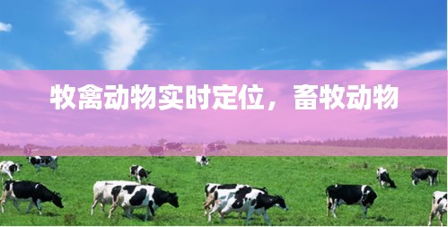 林下风范 第2页