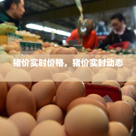随方就圆 第2页