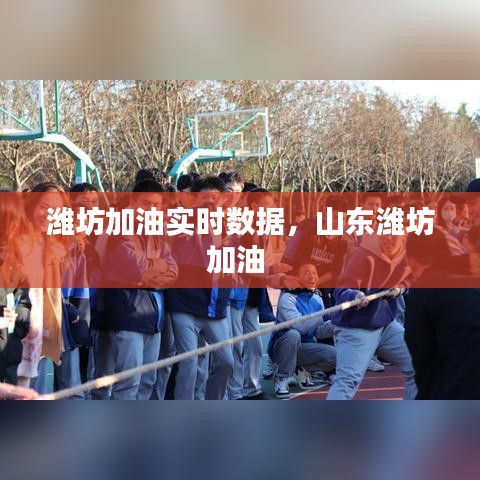 潍坊加油实时数据，山东潍坊加油 
