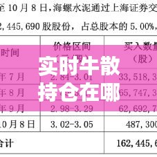 实时牛散持仓在哪看，2021牛散持仓一览表 