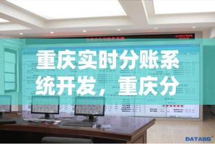 重庆实时分账系统开发，重庆分时科技有限公司 