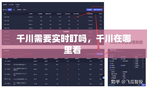 千川需要实时盯吗，千川在哪里看 