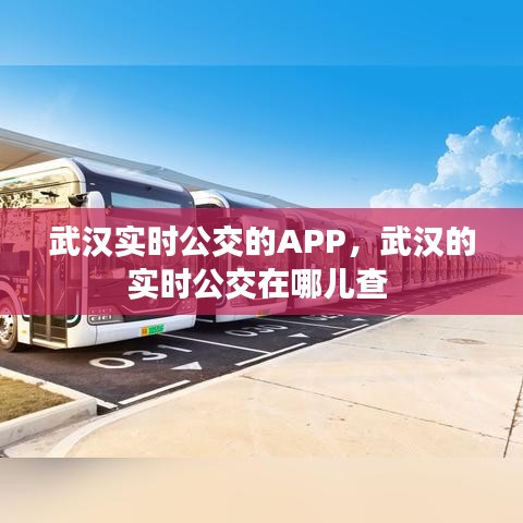武汉实时公交的APP，武汉的实时公交在哪儿查 
