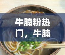 牛腩粉热门，牛腩粉的介绍 