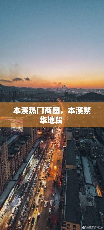 虫言鸟迹 第2页