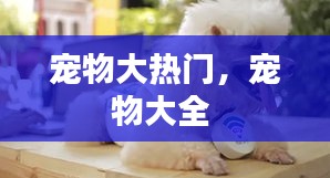 将陋就简 第2页