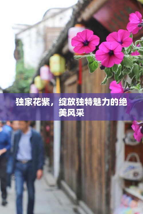 橘虞初梦 第2页
