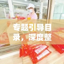 专题引导目录，深度整合知识与信息的奥秘探索