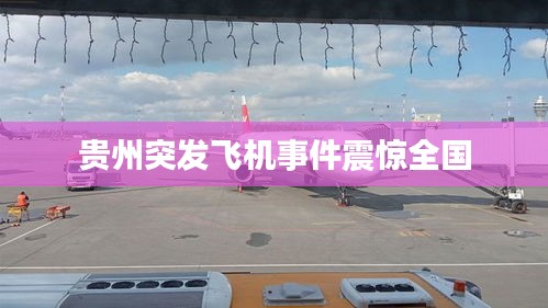 贵州突发飞机事件震惊全国