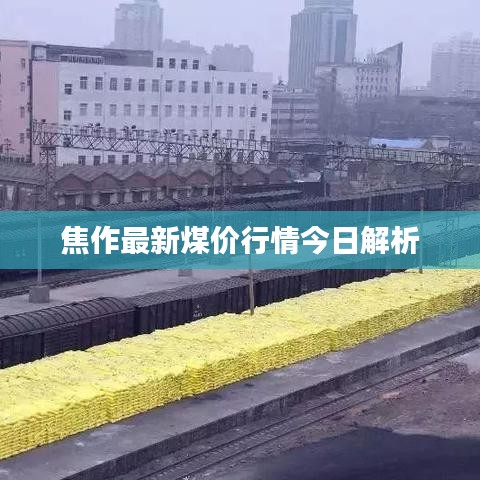 焦作最新煤价行情今日解析