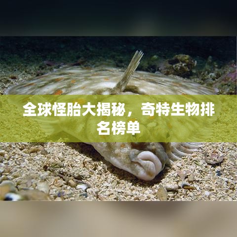 全球怪胎大揭秘，奇特生物排名榜单