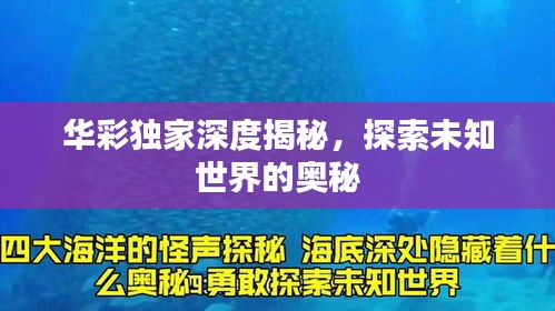 无冬无夏 第2页