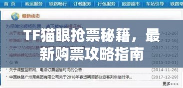 TF猫眼抢票秘籍，最新购票攻略指南