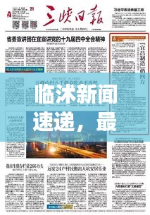 临沭新闻速递，最新头条与重大事件回顾