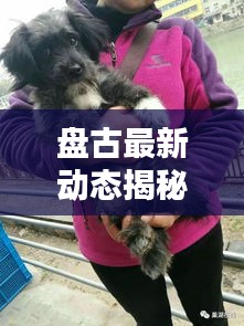 盘古最新动态揭秘，今日消息一网打尽！