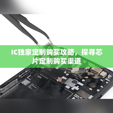 IC独家定制购买攻略，探寻芯片定制购买渠道