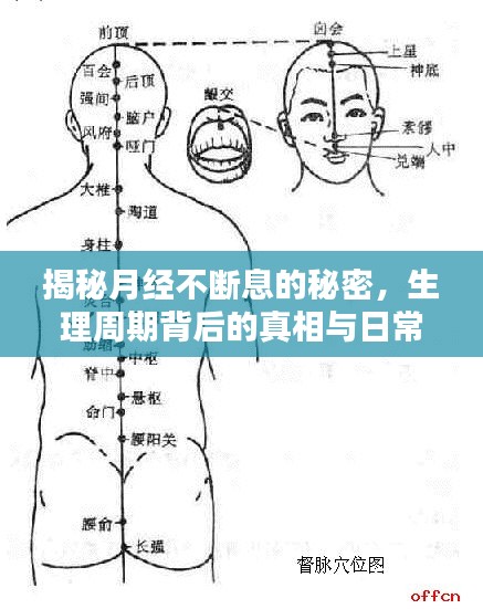 揭秘月经不断息的秘密，生理周期背后的真相与日常护理技巧