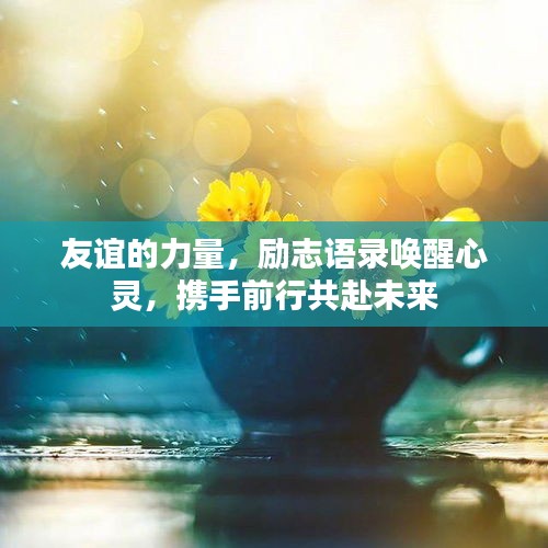 友谊的力量，励志语录唤醒心灵，携手前行共赴未来