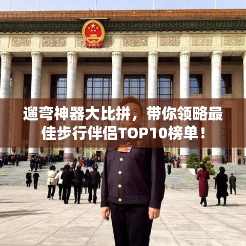 遛弯神器大比拼，带你领略最佳步行伴侣TOP10榜单！