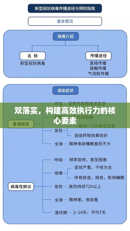 双落实，构建高效执行力的核心要素