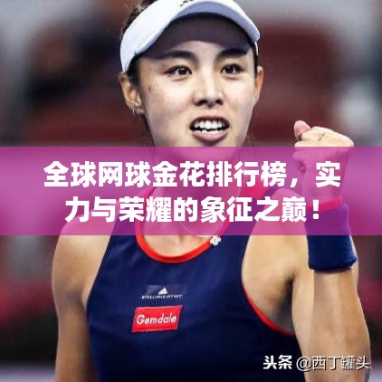 全球网球金花排行榜，实力与荣耀的象征之巅！