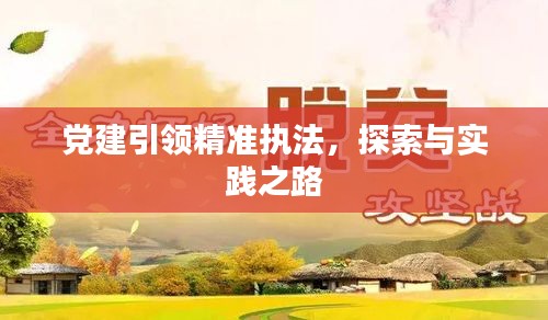党建引领精准执法，探索与实践之路