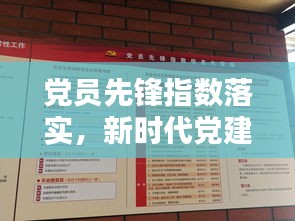 党员先锋指数落实，新时代党建工作的关键驱动力