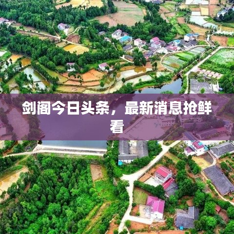 剑阁今日头条，最新消息抢鲜看