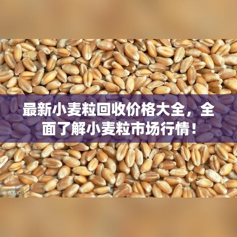 最新小麦粒回收价格大全，全面了解小麦粒市场行情！