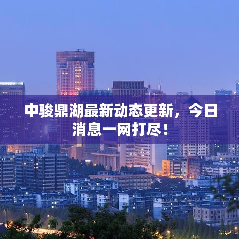 中骏鼎湖最新动态更新，今日消息一网打尽！