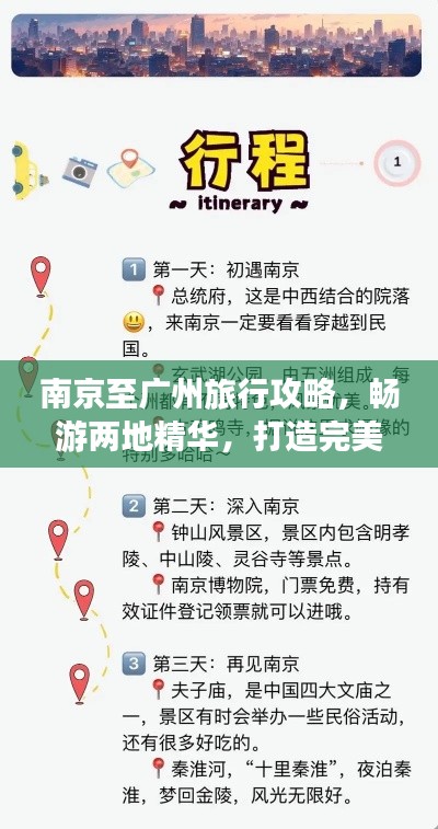乌鸟私情