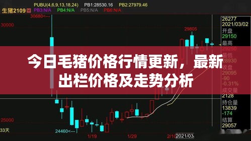 今日毛猪价格行情更新，最新出栏价格及走势分析