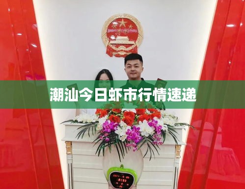 潮汕今日虾市行情速递