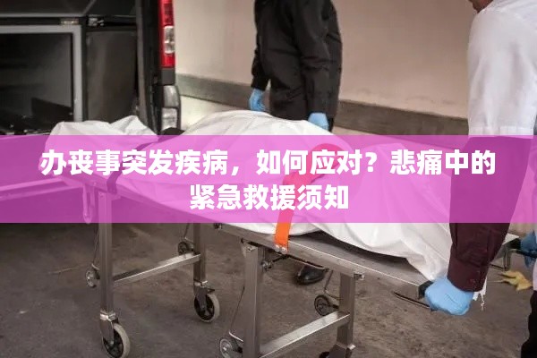 购物指南 第8页