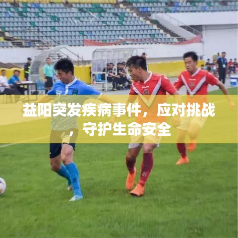 关于我们 第5页