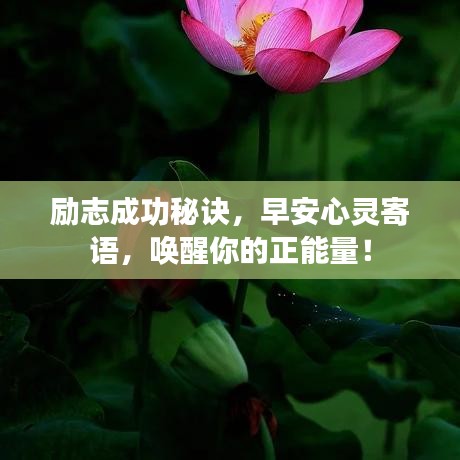 励志成功秘诀，早安心灵寄语，唤醒你的正能量！