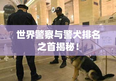 世界警察与警犬排名之首揭秘！