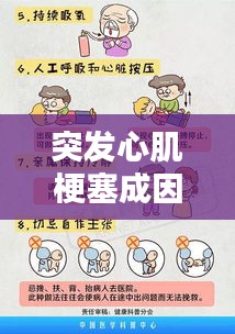 突发心肌梗塞成因揭秘，预防与应急措施全解析