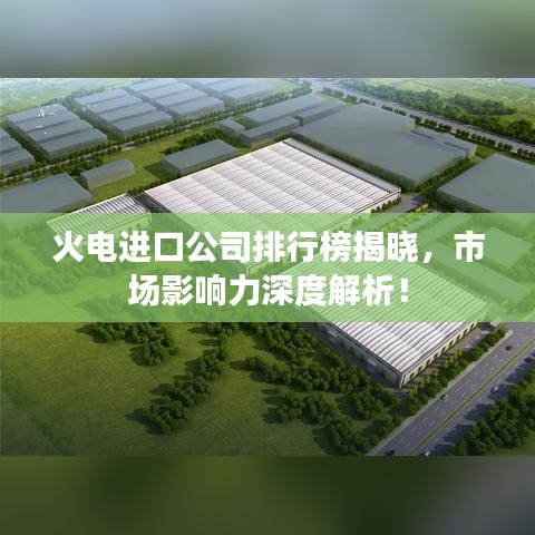 火电进口公司排行榜揭晓，市场影响力深度解析！