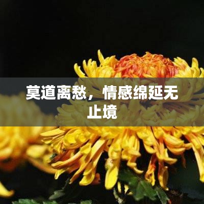 2025年5月14日