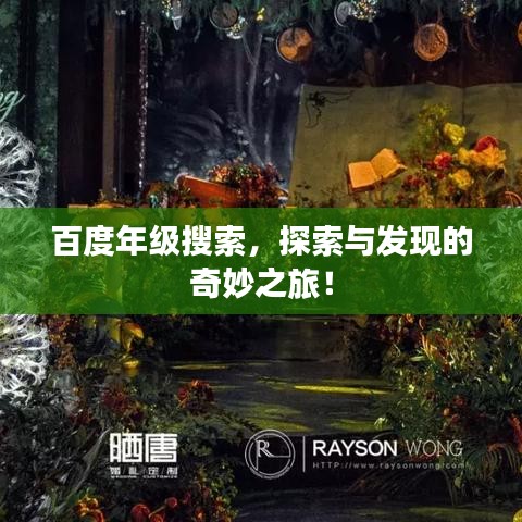 百度年级搜索，探索与发现的奇妙之旅！